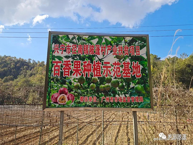 百香果種植示范基地